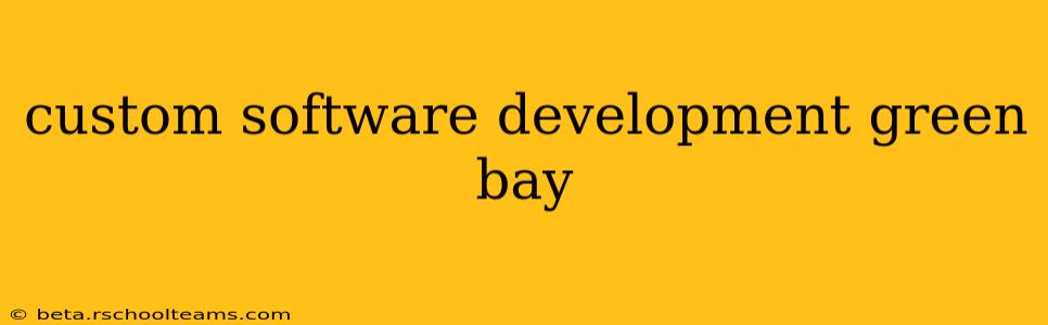 custom software development green bay