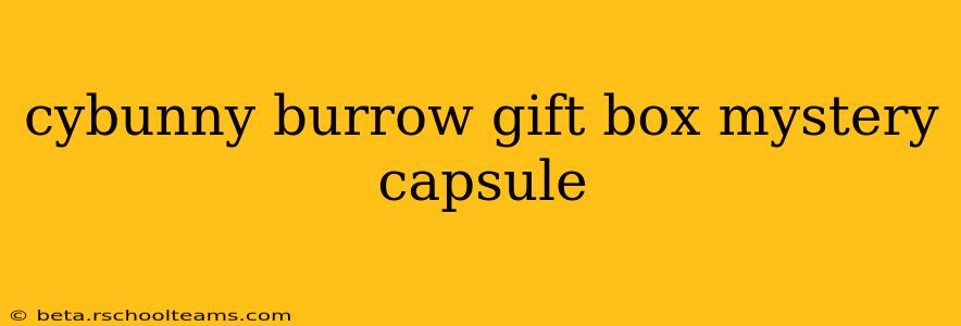 cybunny burrow gift box mystery capsule