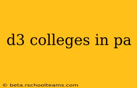 d3 colleges in pa