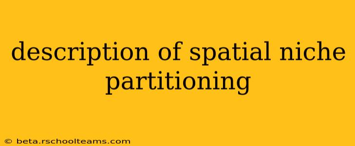 description of spatial niche partitioning