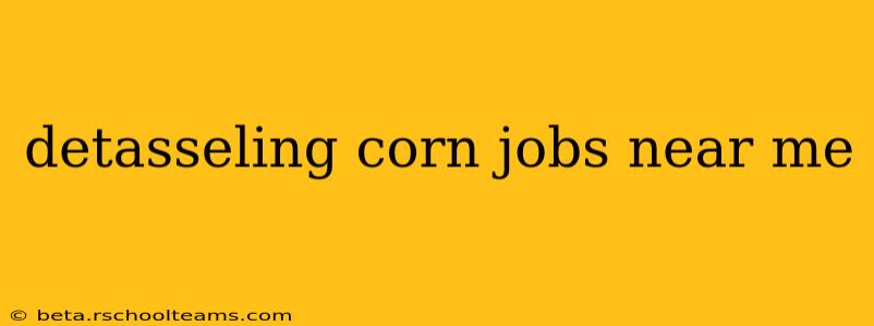 detasseling corn jobs near me