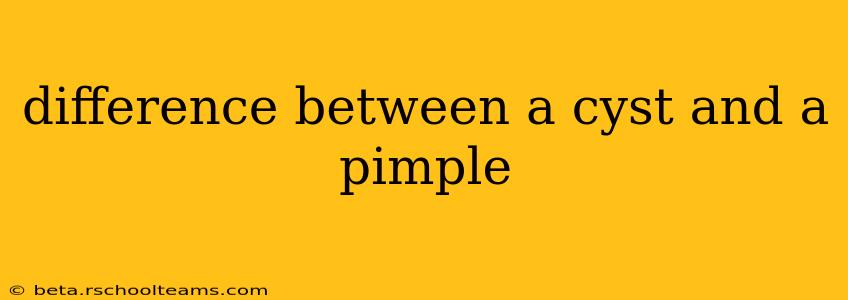 difference between a cyst and a pimple