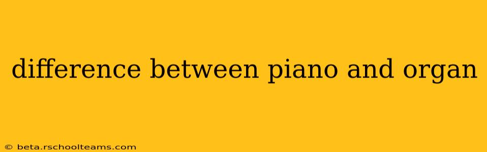 difference between piano and organ