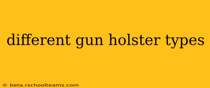 different gun holster types