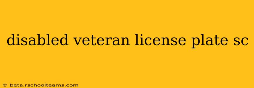 disabled veteran license plate sc