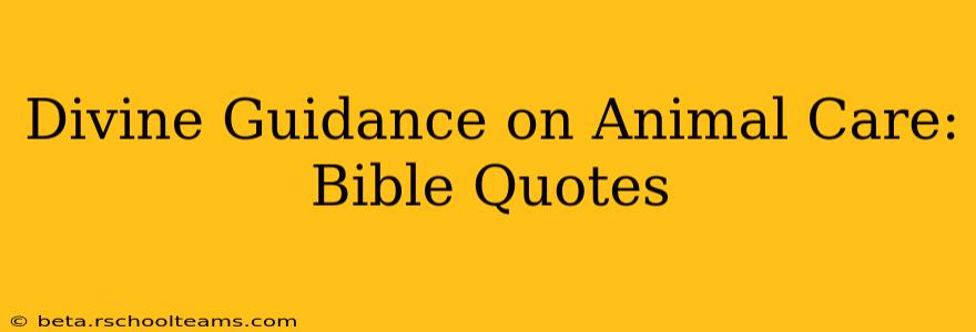 Divine Guidance on Animal Care: Bible Quotes