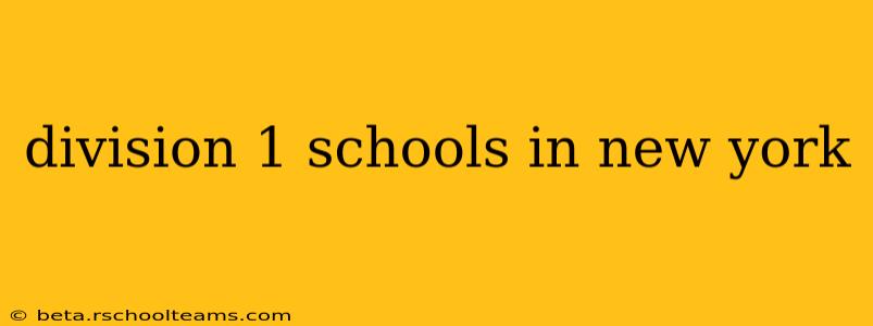 division 1 schools in new york