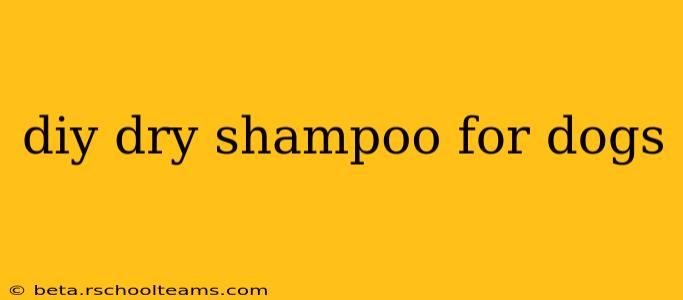diy dry shampoo for dogs