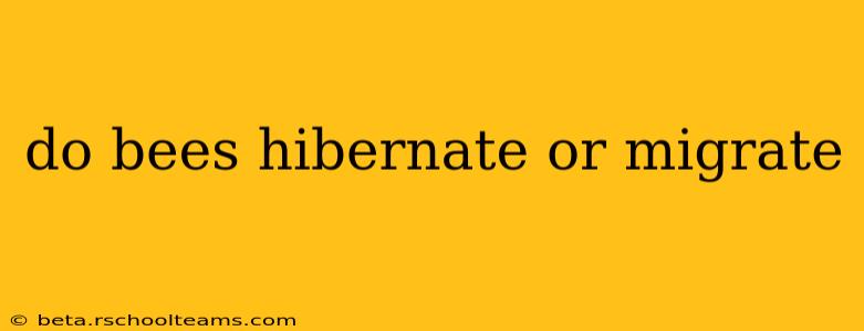 do bees hibernate or migrate