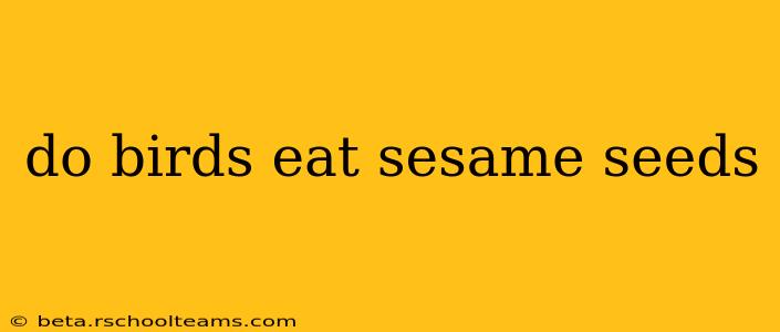 do birds eat sesame seeds