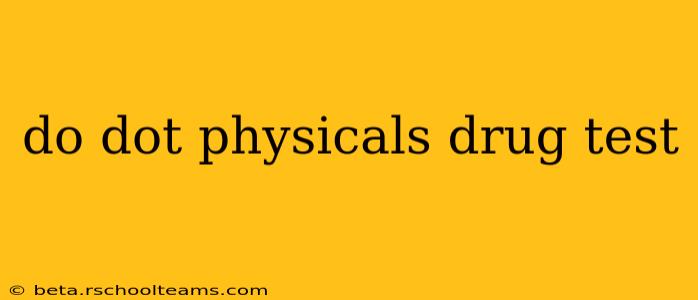 do dot physicals drug test