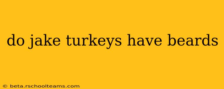 do jake turkeys have beards