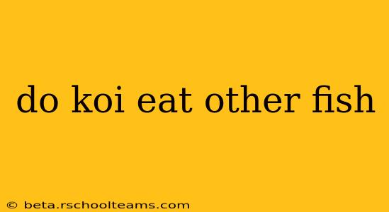 do koi eat other fish