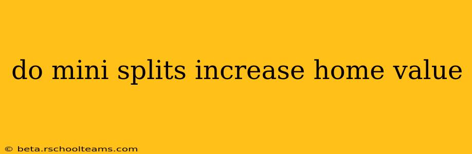 do mini splits increase home value