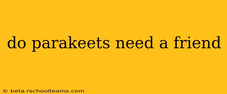 do parakeets need a friend