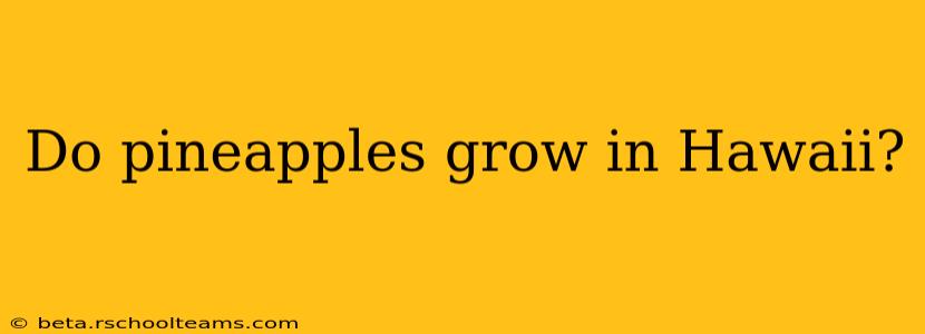 Do pineapples grow in Hawaii?