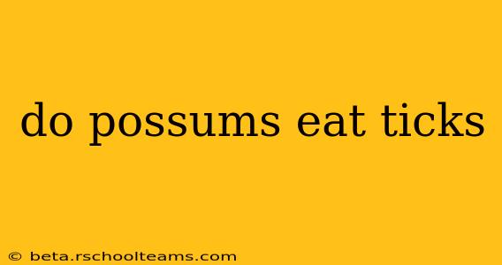 do possums eat ticks