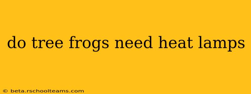do tree frogs need heat lamps