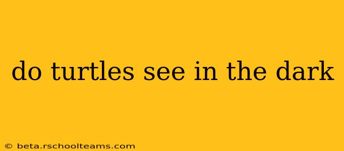 do turtles see in the dark