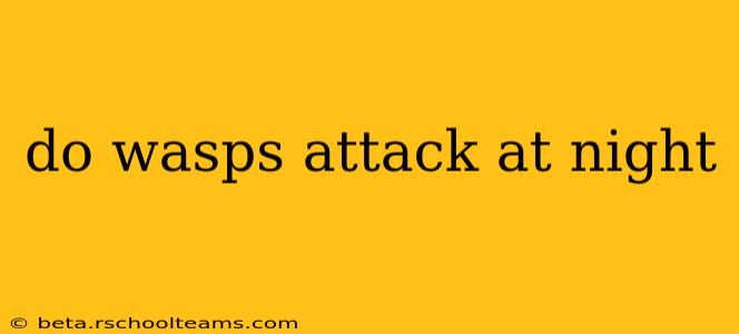 do wasps attack at night
