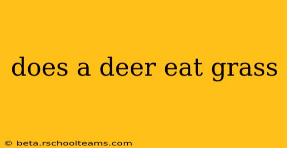 does a deer eat grass