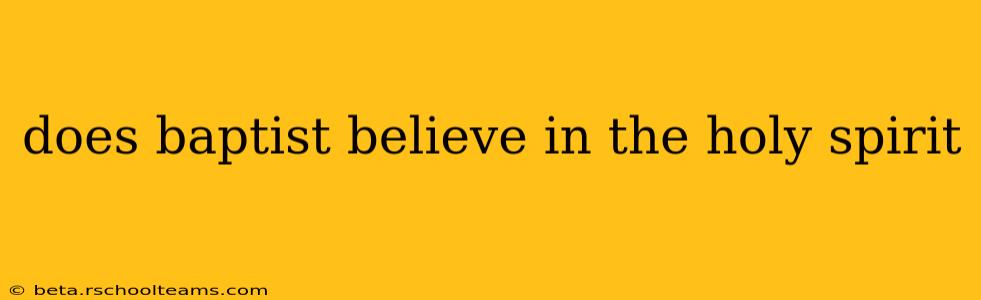 does baptist believe in the holy spirit