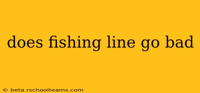 does fishing line go bad