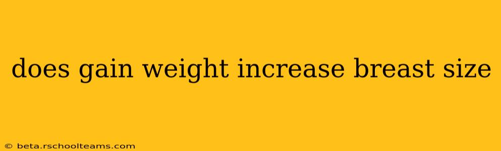 does gain weight increase breast size