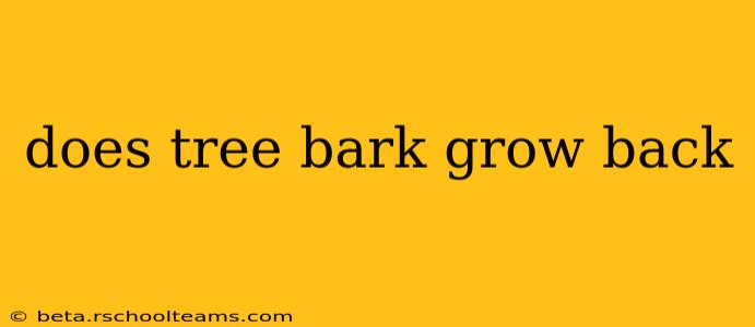 does tree bark grow back