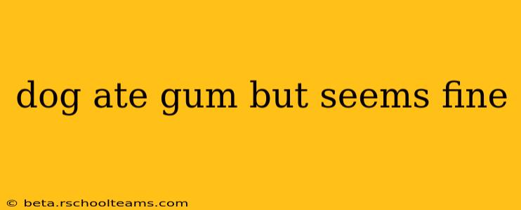 dog ate gum but seems fine