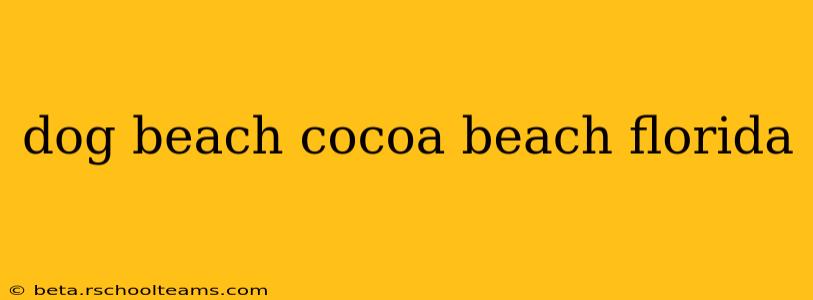 dog beach cocoa beach florida