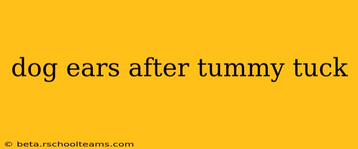 dog ears after tummy tuck