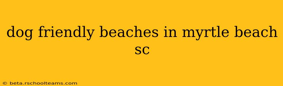 dog friendly beaches in myrtle beach sc