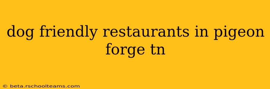 dog friendly restaurants in pigeon forge tn