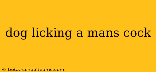 dog licking a mans cock