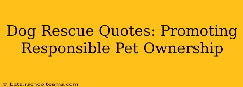 Dog Rescue Quotes: Promoting Responsible Pet Ownership