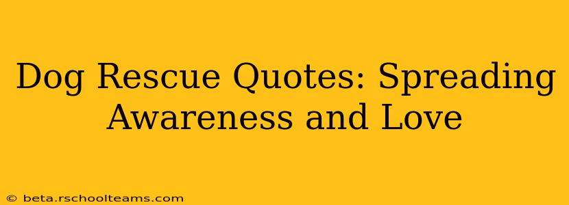 Dog Rescue Quotes: Spreading Awareness and Love