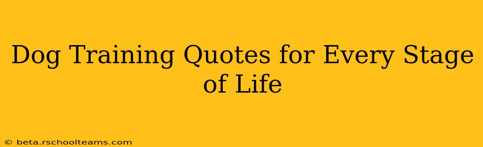 Dog Training Quotes for Every Stage of Life