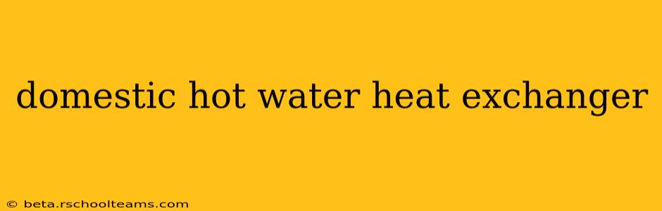 domestic hot water heat exchanger