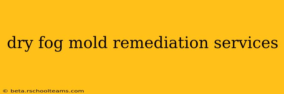dry fog mold remediation services