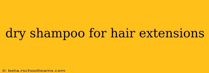 dry shampoo for hair extensions