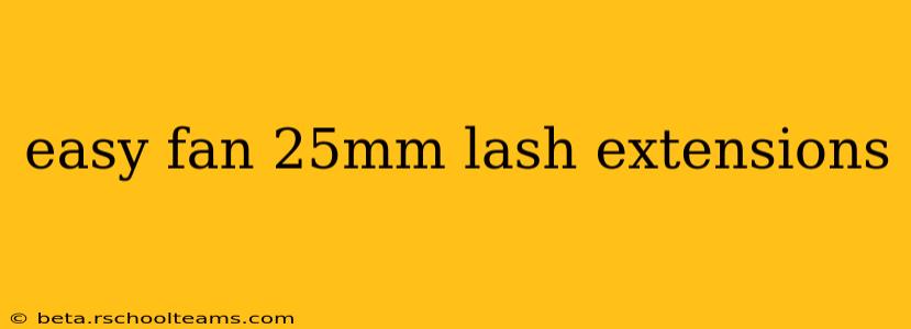 easy fan 25mm lash extensions