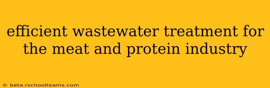 efficient wastewater treatment for the meat and protein industry