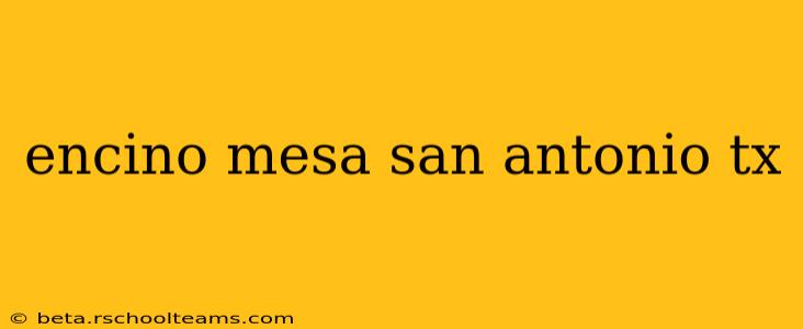 encino mesa san antonio tx