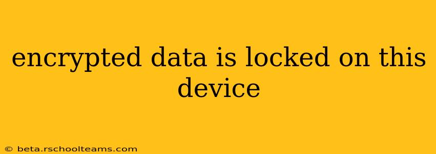 encrypted data is locked on this device