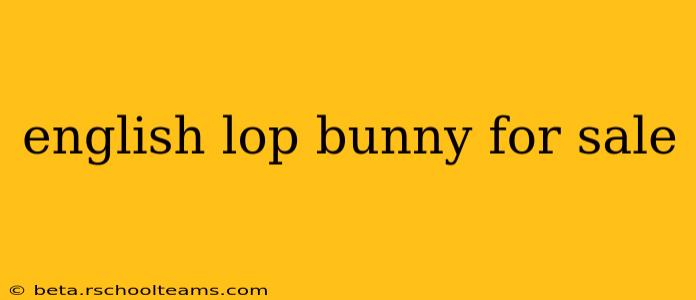 english lop bunny for sale