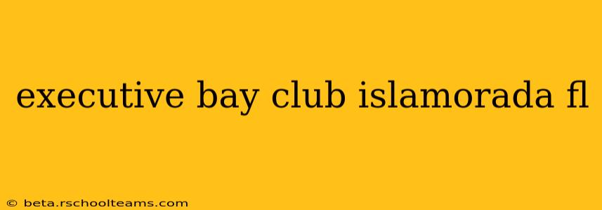 executive bay club islamorada fl