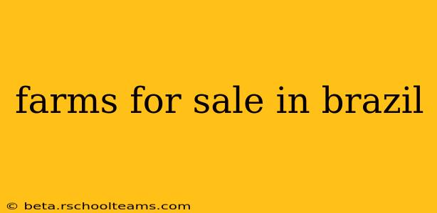 farms for sale in brazil