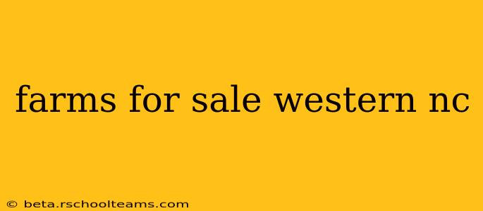 farms for sale western nc