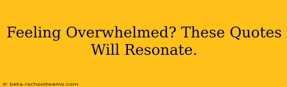 Feeling Overwhelmed? These Quotes Will Resonate.